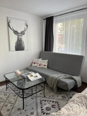 Apartment No. 1